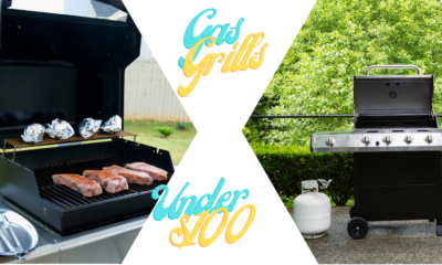 Best Gas Grill Under $100 - BEST PORTABLE GRILL