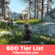 BDO Tier List 2021 | Black Desert