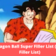 Dragon Ball Super Filler List 2021 | All DBZ Episodes List