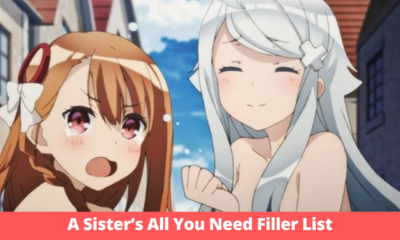 A Sister's All You Need Filler List