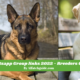 Dogs Whatsapp Group links 2022 - Breeders Groups - Happy Dog Day