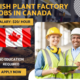 Fish Plant Factory Jobs in Canada