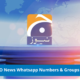 GEO News Whatsapp Numbers & Groups 2022