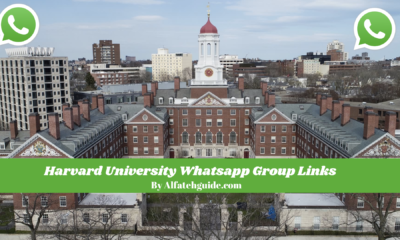 Harvard University Whatsapp Group Links